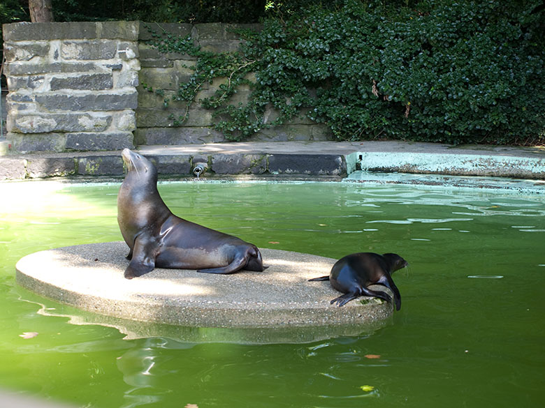 Wasserspiele